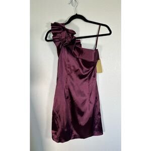 Ciderella Plum Jewel Tone One Shoulder Ruffled Cocktail Mini Dress - S